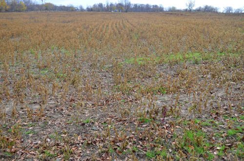 Property photo 55 - 80 Acres & Home - Property Offered in 4 Tracts from 2.3 to 30.0 Acres